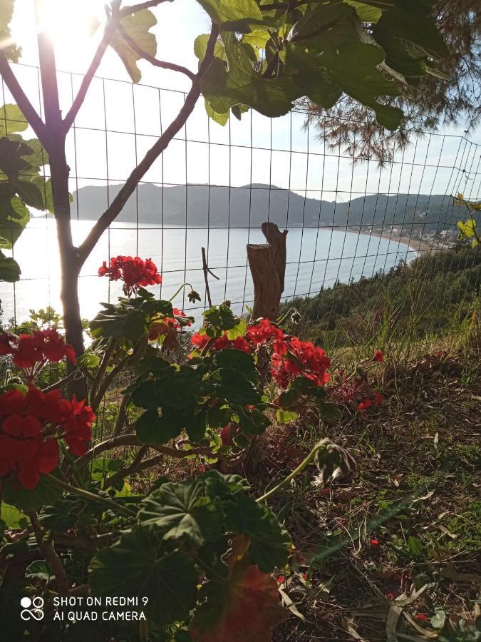 Cozy Apartment Few Mins From Beach Corfu Agios Georgios Pagon Exteriör bild